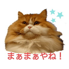 HANAKO2011