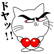 Cat Fighter1