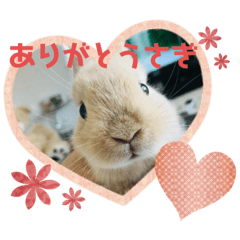 Ikumi_20200505130020