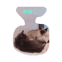 ringo_20200505193301