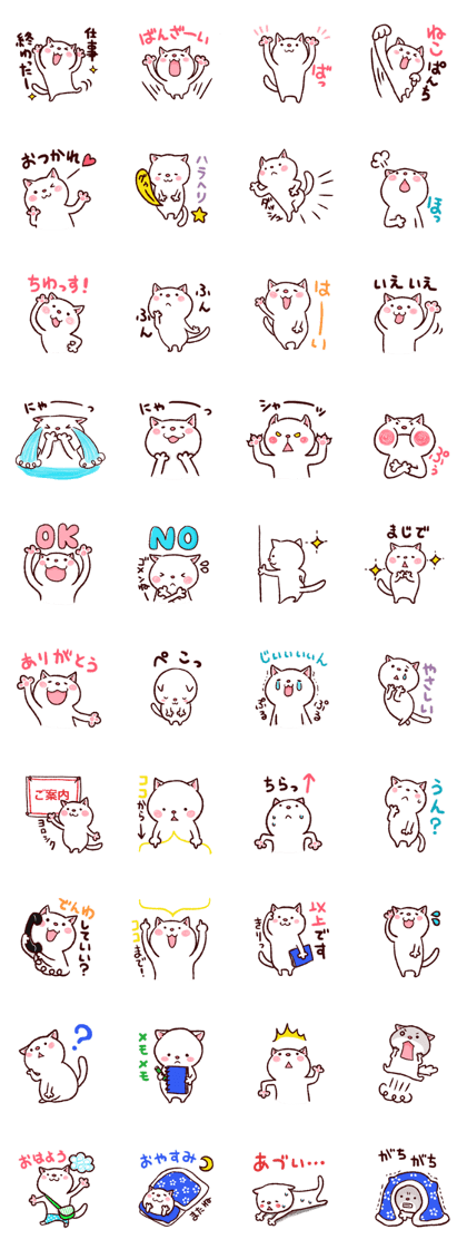 'm White cat ~.