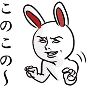White rabbit with white eyes