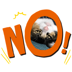 mayamaya1315131508310726