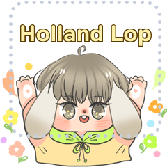 Holland Hub