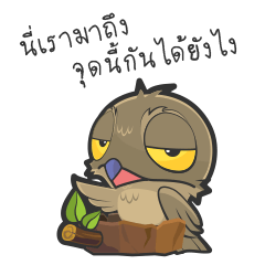 LOVELY POTOO [TH]