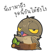 LOVELY POTOO [TH]