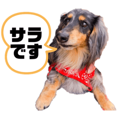 hikari_20200505191703