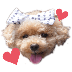 marina_20200505202200