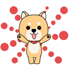 Cute! Shiba inu!!(Japanese Shiba dog)