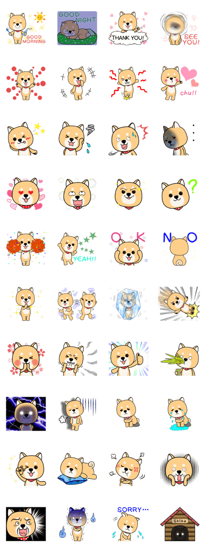 Cute! Shiba inu!!(Japanese Shiba dog)