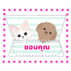 Sora and Riku message sticker Thai