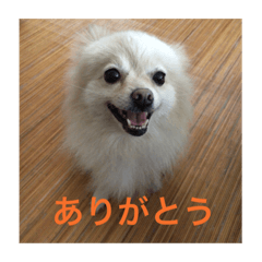 akiko_20200505213040