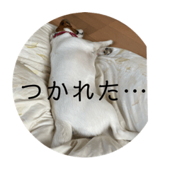 grace_20200505215359