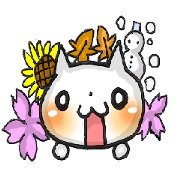 twinkle 3