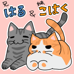 Good friend cat Hal and Kohaku