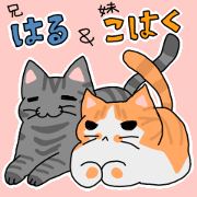 Good friend cat Hal and Kohaku