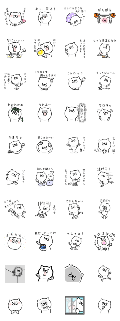 Pretty kitten Sticker 4