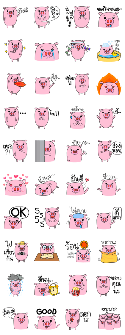 Hungry Pig (TH)