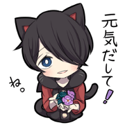 BLACK KITTEN 5