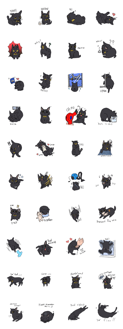 Of black cat Gee