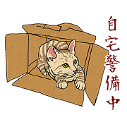 The cat which doesn't want to work
