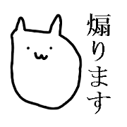 white cat is cute