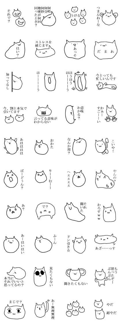 white cat is cute