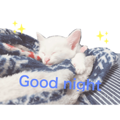 mei_0104012506156345