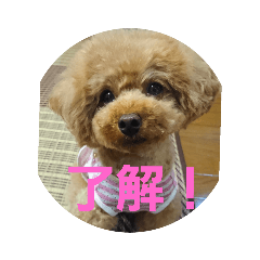 MOCHI_20200506071256