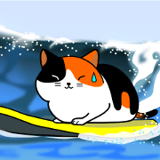 A calico cat in Parutom-town