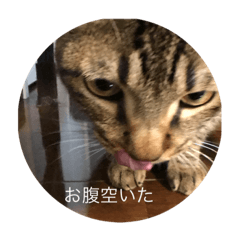 arisa_20200506024531