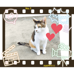 saori_20200506014537