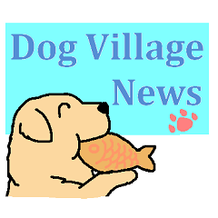 Dog news (English)