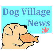 Dog news (English)