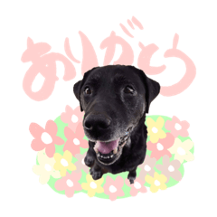 ayumi_20200506094335