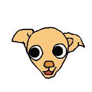 Chihua-tan of chihuahua