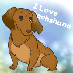 I Love Dachshund