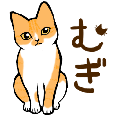 ねこすたんぷ。【むぎ】