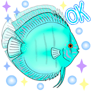 say hello in tropical fish. English Ver.