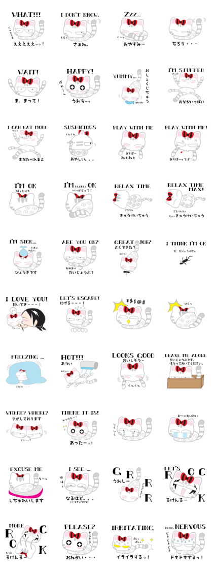 Chubaki the Cat