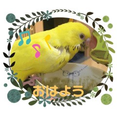 eripon_20200506124614
