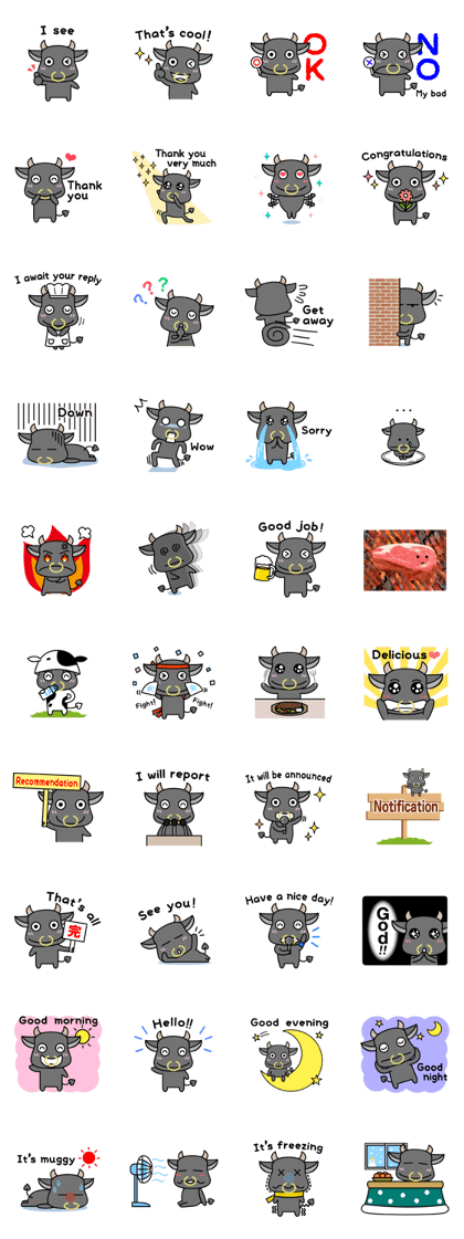 Japanese black beef 100% -English ver.-