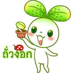 Tua Ngok (Thai Version)
