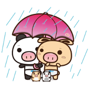 Pig Bunny Baby & Pig Bear III(True love)