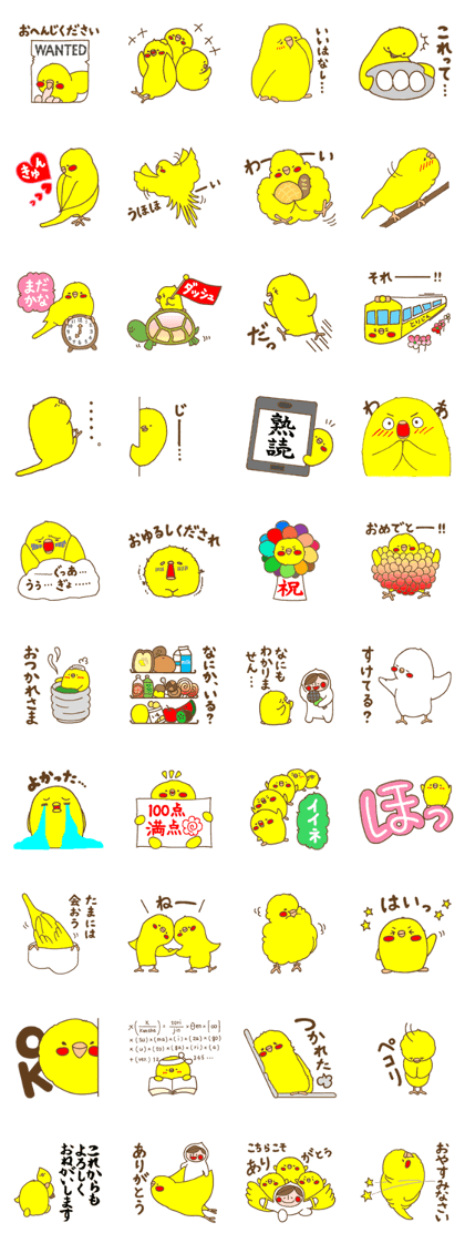 Bird and person's life vol.3