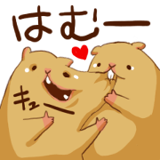The Plump Hamster