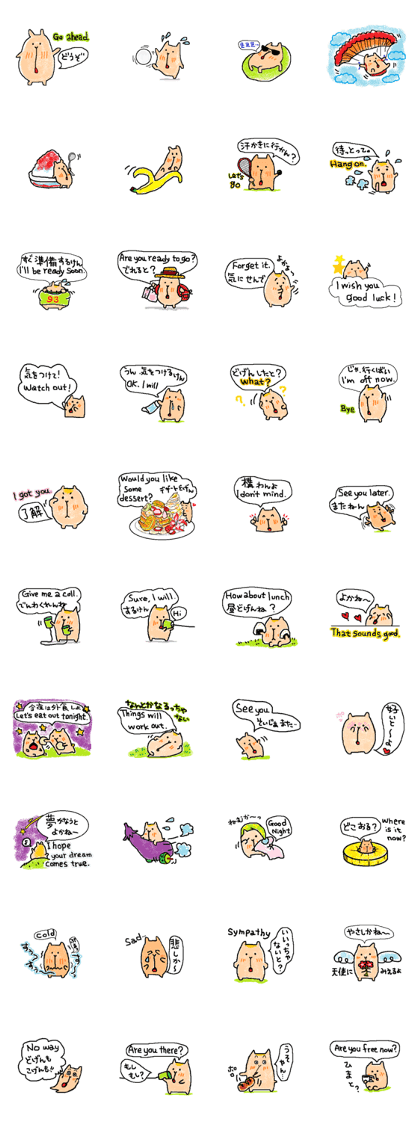 Coo yamaguchi VOL.3