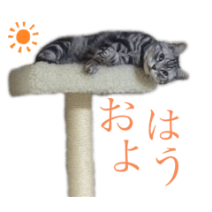 nozomi_202005060322310815