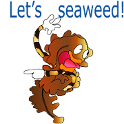 Seaweeds (English version)
