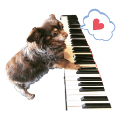 "Bell-chan" daily stickers